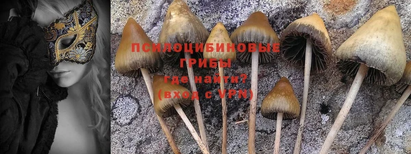 jwh Богородицк